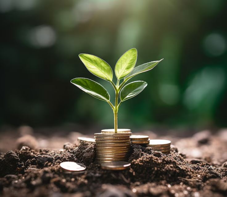 Oil and gas investment consulting